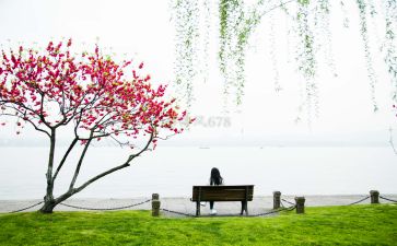 文本的造句