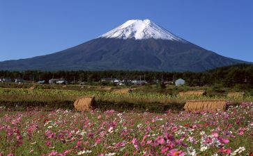 繁华的造句
