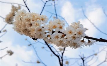 炎热的的造句