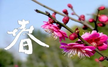 春节的造句