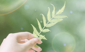 吸取的造句