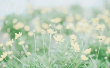 还来的造句
